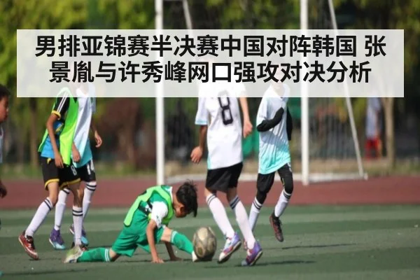 男排亚锦赛半决赛中国对阵韩国 张景胤与许秀峰网口强攻对决分析 | kaiyun